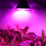 15 W - PROFI LED GROW žiarovka pre všetky rastliny, E27, High-power+, ružová